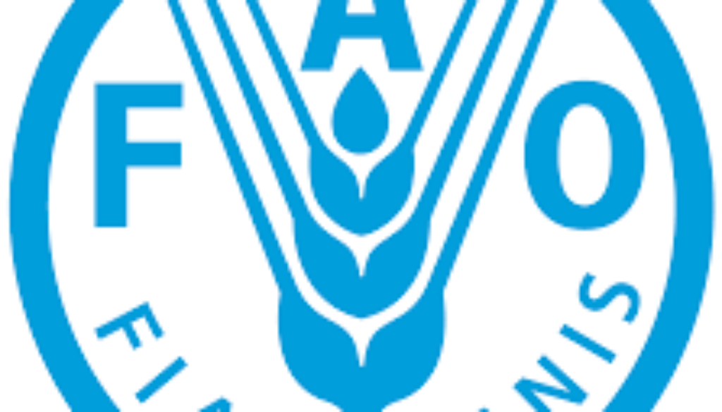 National Anticipatory Actions Specialist Vacancy Job Ref: VACFAO9465-41